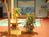 Courtesy Inn San Simeon::Priceline.com