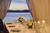 The Edgewater::Orbitz