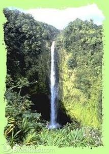 A'Alani Volcano Heart Hawaii::BedAndBreakfast.com