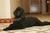 Staybridge Suites Naples::Orbitz
