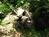 Turkey Run Inn::TripAdvisor