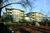 Plaza Inn & Suites at Ashland Creek::Expedia