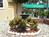 Americas Best Inns St Petersburg from Expedia
