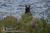 Headwaters of the Yellowstone Bed and Breakfast::BedAndBreakfast.com