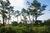 Waquoit Bay Nat. Estuarine Res::ReserveAmerica.com