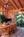 Woodlands Inn of Sapphire::LanierBB.com