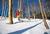 The Townhomes at Bretton Woods::ProfessionalTravelGuide.com