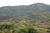The Palmwood::TripAdvisor