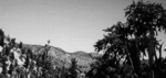 Tn-nophotoavailable