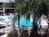 Best Western Maingate South::ProfessionalTravelGuide.com