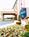 Hampton Inn Dover::Travelocity.com
