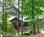 Bent Creek Lodge Bed & Breakfast::BedAndBreakfast.com