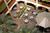 Embassy Suites Austin - North::TravelPost.com