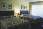 Tn-033863_room_01_f