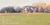 Orchard Hill Farm::BedAndBreakfast.com