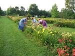 Grace Gardens