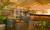 Best Western Island Palms Hotel & Marina::Orbitz