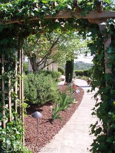 Seven Quails Vineyards Bed and Breakfast::BedAndBreakfast.com