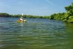 Fort DeSoto Park::Savanna