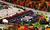 Econo Lodge Inn & Suites::Hotels.com
