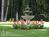 Dundee Manor Bed and Breakfast::BedAndBreakfast.com