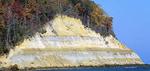 Calvert Cliffs State Park