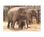 Dickerson Park Zoo from Epinions.com