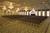 Crowne Plaza Clayton::Orbitz