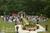 Melange Bed & Breakfast::BedAndBreakfast.com