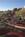 International Plaza Resort and Spa::Priceline.com