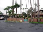 Best Western Pine Tree Motel