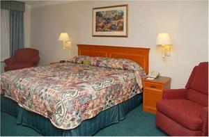Web-sea_lqbe-rooms-1
