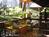 Volcano Village Lodge::BedAndBreakfast.com