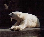 Oregon Zoo