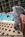 Holiday Inn Sunspree Resort Fort Walton Beach::Orbitz