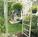 Ashling Cottage::BedAndBreakfast.com