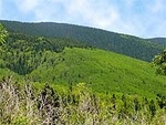 Santa Fe National Forest::Yahoo! Travel