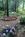 Narrow Gauge Inn::BedAndBreakfast.com