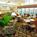 Residence Inn by Marriott Milpitas Silicon Valley from Expedia