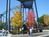 Paramount's Carowinds::ThrillNetwork.com