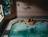 Clubhouse Inn and Suites Albuquerque::Priceline.com