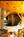 Lovetts Inn::BedAndBreakfast.com