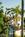 Casa Laguna Inn & Spa::BedAndBreakfast.com