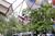 Knoebel's::ThemeParksOnline