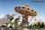 Dorney Park::ThrillNetwork.com