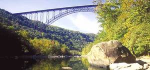Web-04bridge