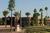 3 Palms Resort Oasis::Orbitz