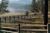 The Resort at Paws Up All Inclusive::Priceline.com