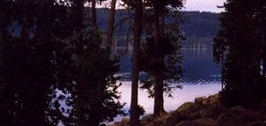Web-medicinelake-picture