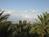 JW Marriott-Las Vegas Resort & Spa::TripAdvisor